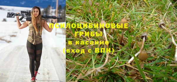 СК Алексеевка