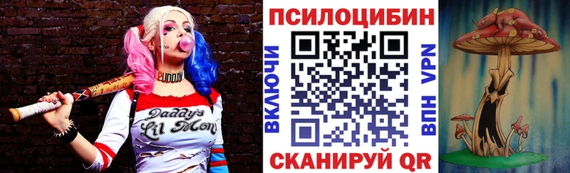 Галлюциногенные грибы Psilocybine cubensis Пермь