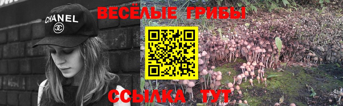 Галлюциногенные грибы мицелий  Вход с VPN  сколько стоит  Пермь 